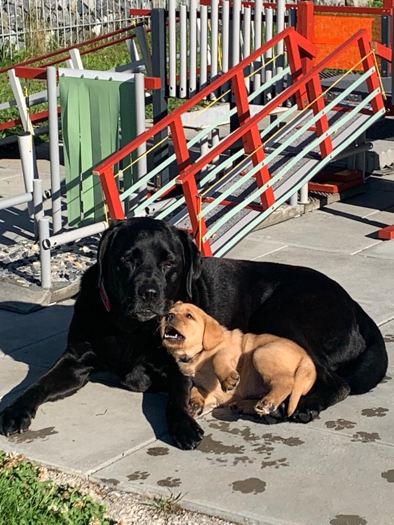 Bonnie und Mathilda beim sonnen