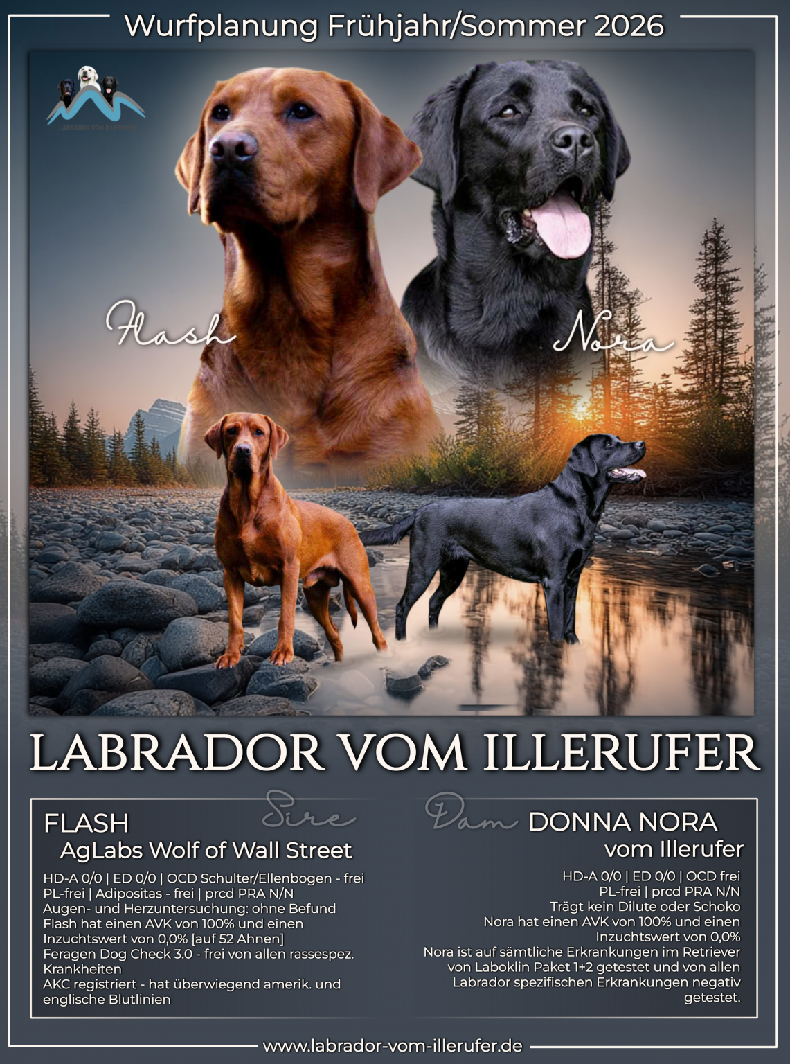 Wurfplanung 2026 Labrador vom Illerufer